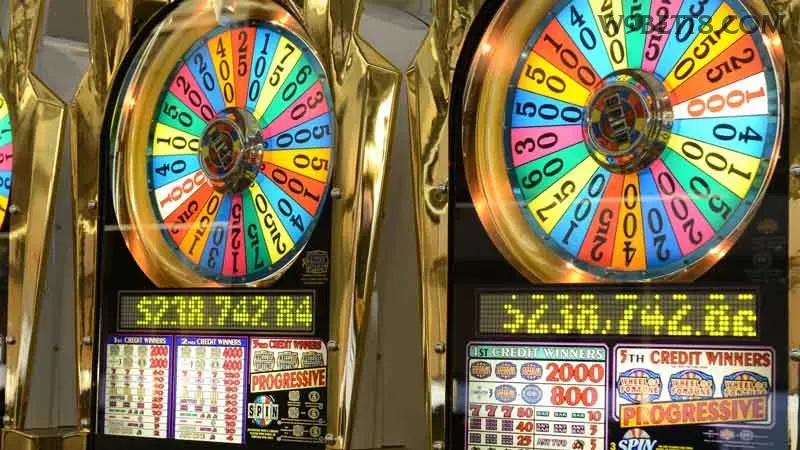 w9bet - 6
