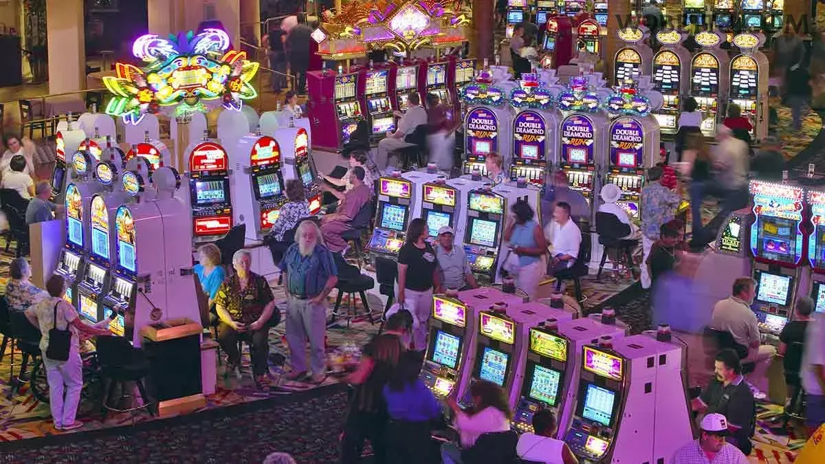 w9bet - 4