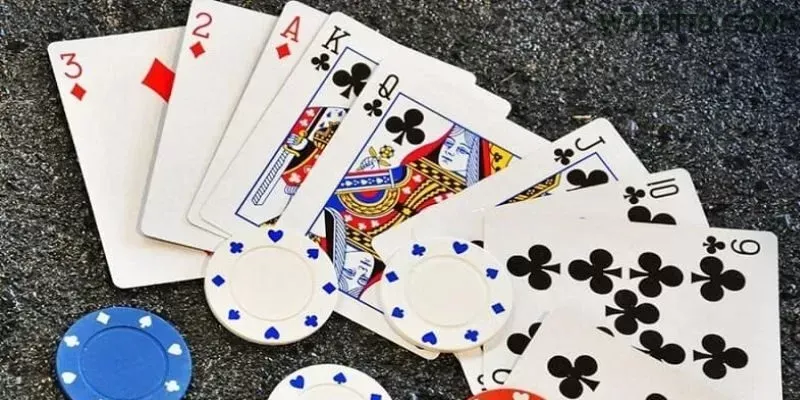 w9bet - 8